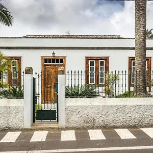 Donde Conchita, Cerca Del Aeropuerto Norte La Laguna (Tenerife)